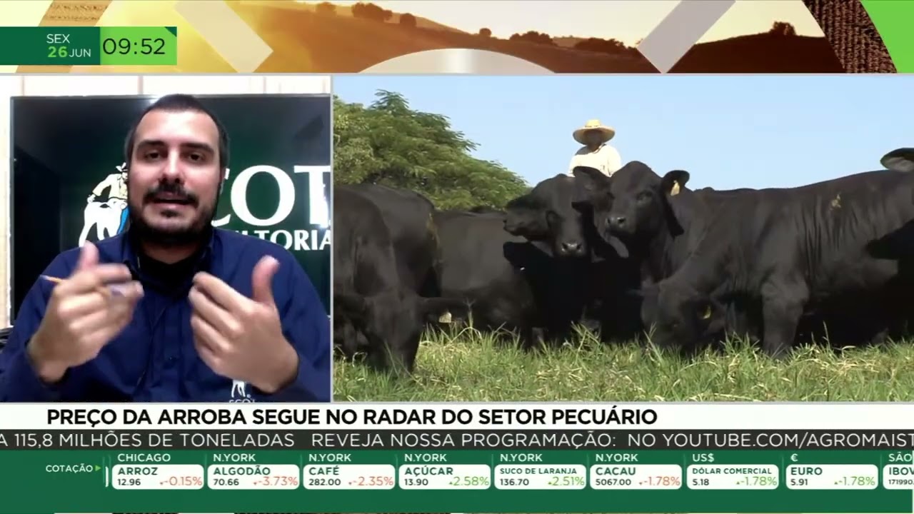 Preço da arroba segue no radar do setor pecuário
