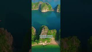 C&Aacute;T B&Agrave; V&Agrave; NHỮNG ĐIỀU CHƯA BIẾT #shorts