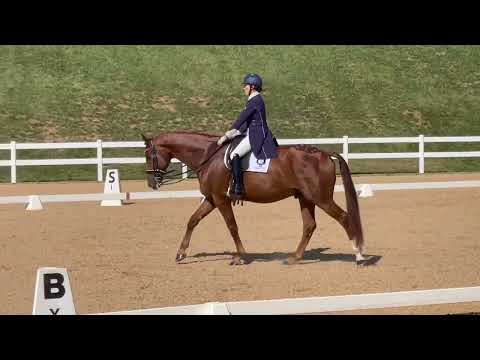 GAIGS Region 1 Championship | Lainey Ashker & Zeppelin Finals: PSG  Dressage Test