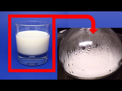 Making Milk Moonshine