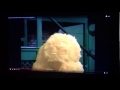 Big Bird Sleeping In Episode 3854