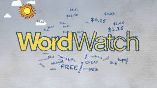 WordWatch AdWords video