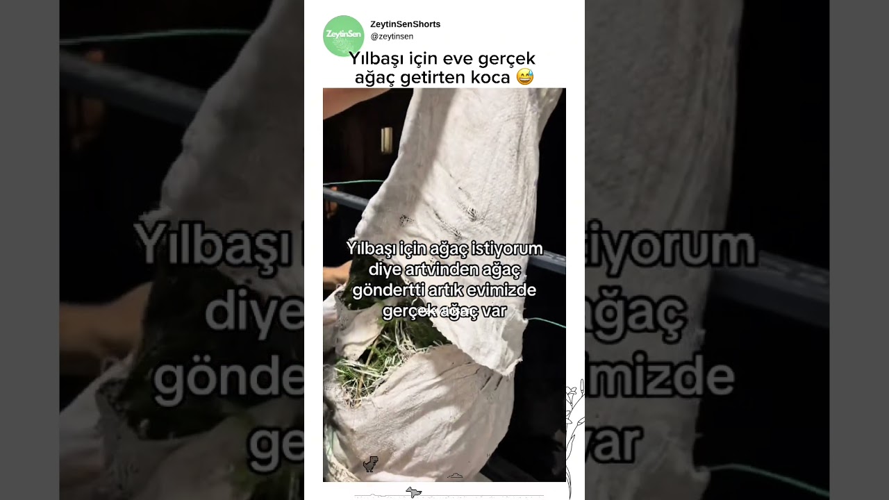 Yılbaşı için gerçek ağaç kesmek 😅