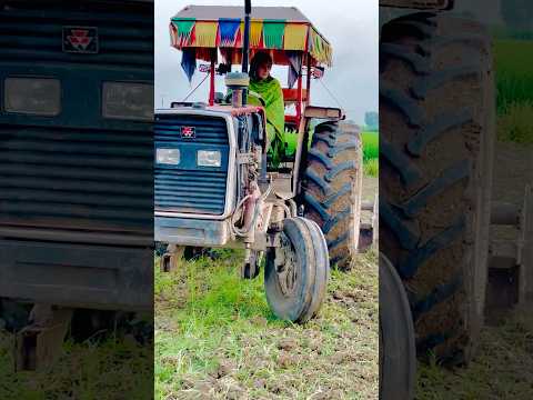 Tractor girl Azra Imran #nature #music #love #meditationmusic #flute #flutemusic #mountainflute