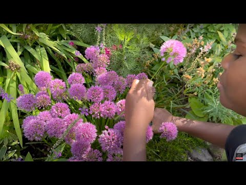 How Many Flowers are in our Garden? ✂️🌼 I Perennial Garden