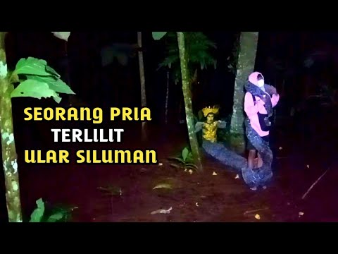 kejam!!! rama pria berekor ular melilit seorang warga - siluman ular