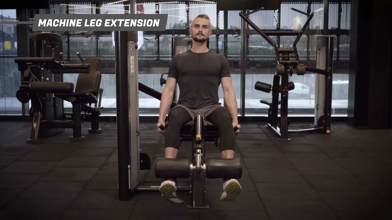 Leg Extension
