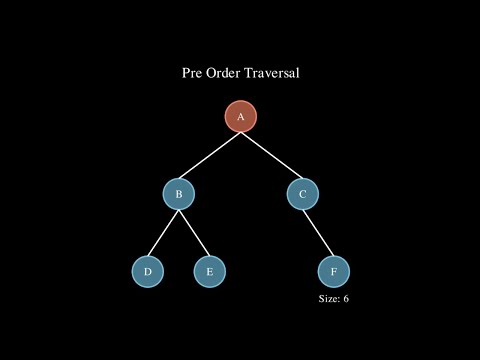 How do you Traverse a Tree?