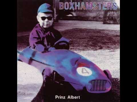 Boxhamsters - Farben