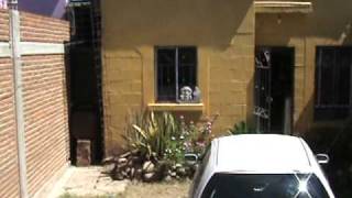 preview picture of video 'casa en venta en culiacan sinaloa oportunidad fraccionamiento alameda 2 recamara 2 baNos'