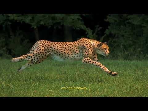 Jaydon Lewis - Runaway (feat. ChianoSky) (Lyric Video)