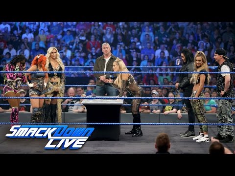 REPORT: Women’s Money In The Bank Ladder Match Being Planned
