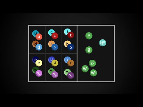 The Standard Model