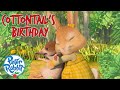 OfficialPeterRabbit Cottontail S Birthday Full Episode Cartoons For Kids
