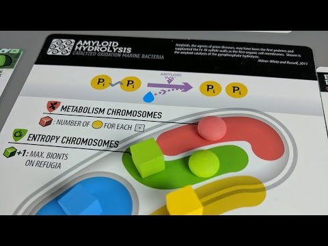 Bios Genesis - Part 3