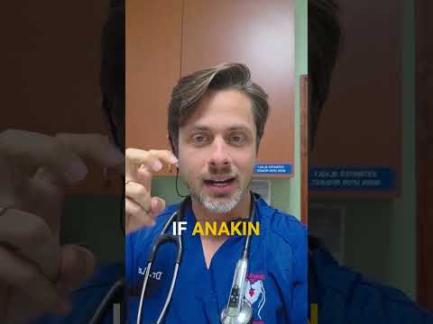 Why Free-Feeding Is Bad for Cats | Vet Explains