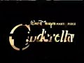 Opening To The Lion King 1995 VHS Super Warp Speed