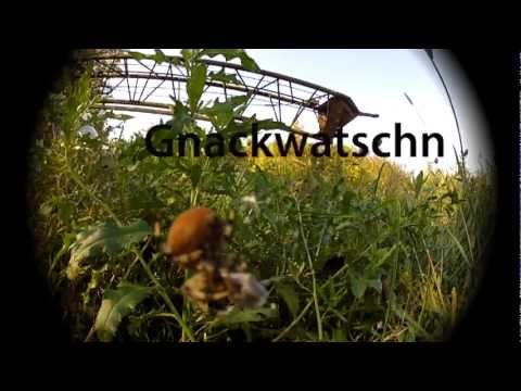 MOSTHEADZ - "Gnackwatschn" feat. Dark Poet & Fozhowi