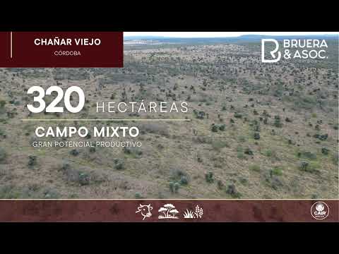 320 HA   Chañar Viejo