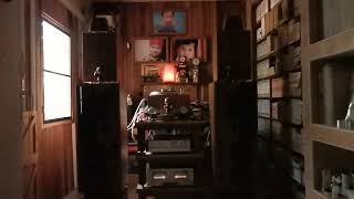 Shelby Lynne : Willie and Laura Mae Jones : Just A little lovin&#39;