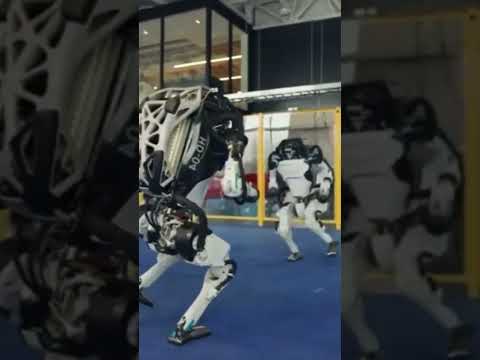 #shorts #youtubeshorts#shortsviral