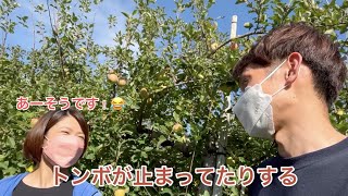 りんご農家のヒロインと対談｜相馬克彦りんご園相馬さやかさん