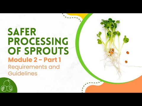 Sprouts: Module 2 | Requirements and Guidelines | Part 1