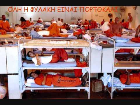 Download Apoel Ultras Sinthima Sto Petallo Sas Egkatastathikame 3gp Mp4 Codedwap