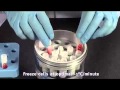 Thermo Scientific Nalgene Mr Frosty Freezing Container