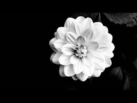 Just Emma feat. Raindance Kid - Scars In The Sky (Armen Miran Remix)