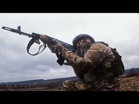 𝐒𝐖𝐄𝐄𝐓 𝐋𝐈𝐓𝐓𝐋𝐄 𝐁𝐔𝐌𝐁𝐋𝐄𝐁𝐄𝐄 | 𝐑𝐔𝐒𝐒𝐈𝐀𝐍 𝐒𝐇𝐌𝐄𝐋 𝐄𝐃𝐈𝐓