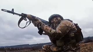 Download lagu 𝐒𝐖𝐄𝐄𝐓 𝐋𝐈𝐓𝐓𝐋𝐄 𝐁𝐔𝐌𝐁𝐋𝐄𝐁𝐄𝐄 | 𝐑𝐔𝐒𝐒𝐈𝐀𝐍 𝐒𝐇𝐌𝐄𝐋 𝐄𝐃𝐈𝐓 mp3