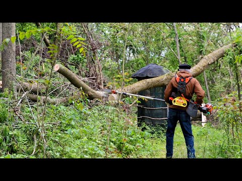 Violent Storm Changed The Summer & Off Grid Cabin Night