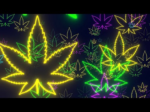 Neon Lights Cannabis Leaf Logo Flying Forward 4K Free Colorful Motion Background