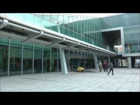 Egito: povo na defesa da riqueza cultural