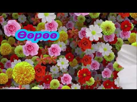 Учралын Уянга - СоёлЭрдэнэ хамтлаг ( үгтэй )