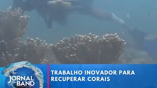 Miniatura do vídeo