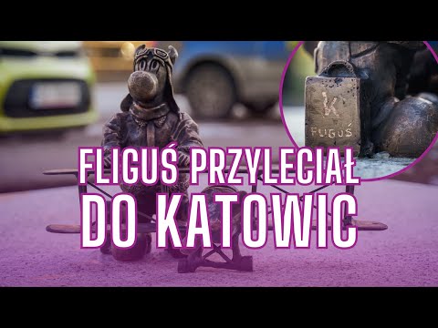 Bebok Fliguś landed in Katowice