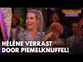 Hélène maakt kans op Gouden Televizier-Ring; wordt verrast met confetti, champagne en piemelknuffel!