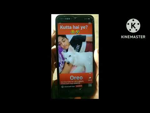 bataiye aap ko Suraj ji ke pass kutta hai ya kutte