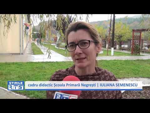 DIN SCOALA PRIMARA, DEVINE GRADINITA