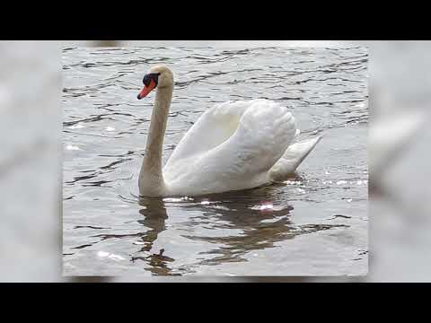 Corona Urlaub in der Lausitz