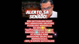 OOPS!WOW! WIN GATCHALIAN SECURITY ALERT SA SENADO MAY BANTA YAY!#comedy#jokes#funny#foryou#shorts