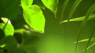 Robert Vadney feat Di   World On Mute 2009 Cj Peeton Remix