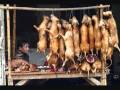 No Son Comida Wmv