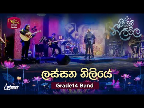 Lassna Niliye (Cover Song) | ලස්සන නිලියේ | Grade14 Band | Piyum Neela Vila | Roo Tunes