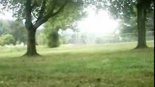 Roger And Shane Beyond the Limits