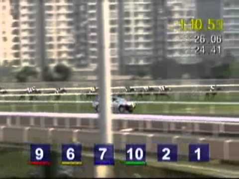 2009 Hong Kong Cup - Vision D'Etat