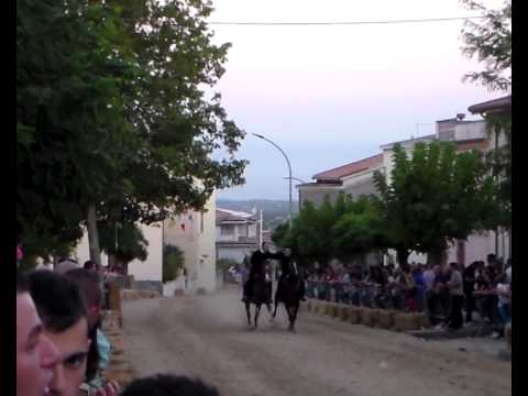 pariglie  silanus 11.08 .2014