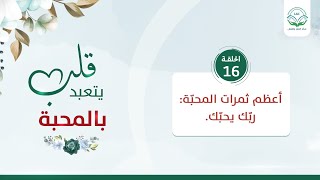 أعظم ثمرات المحبّة: ربّك يحبّك | الحلقة 16 | سلسلة قلب يتعبد بالمحبة | د.شريف طه يونس image